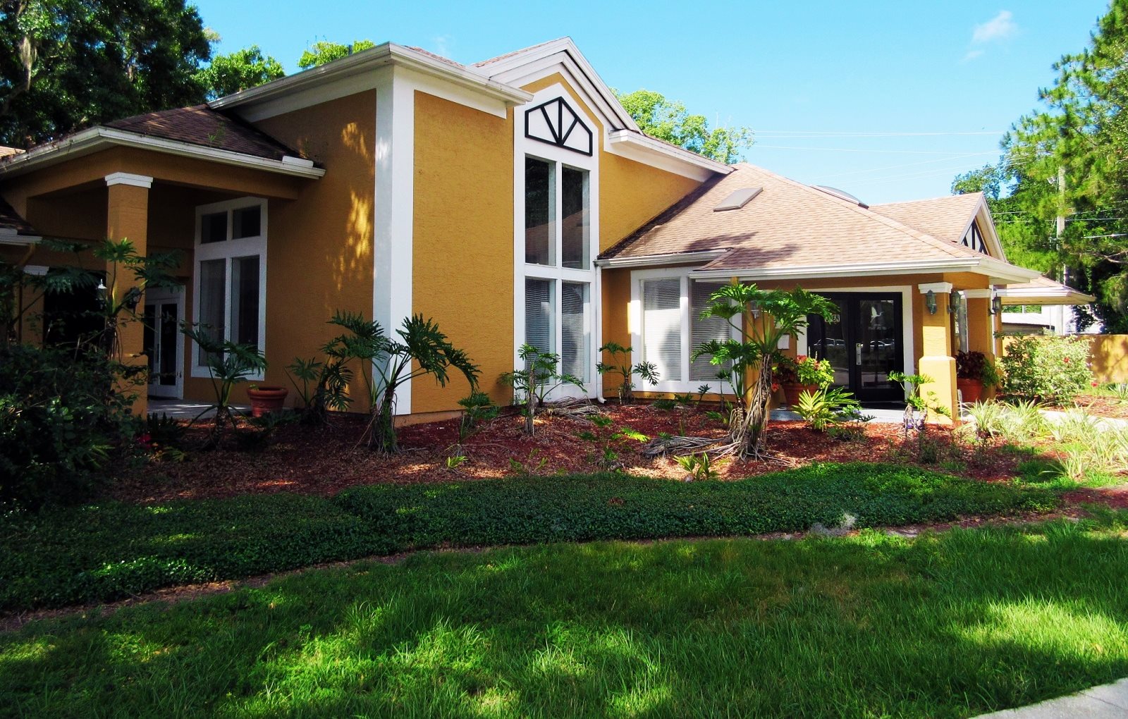 Riverview background 2